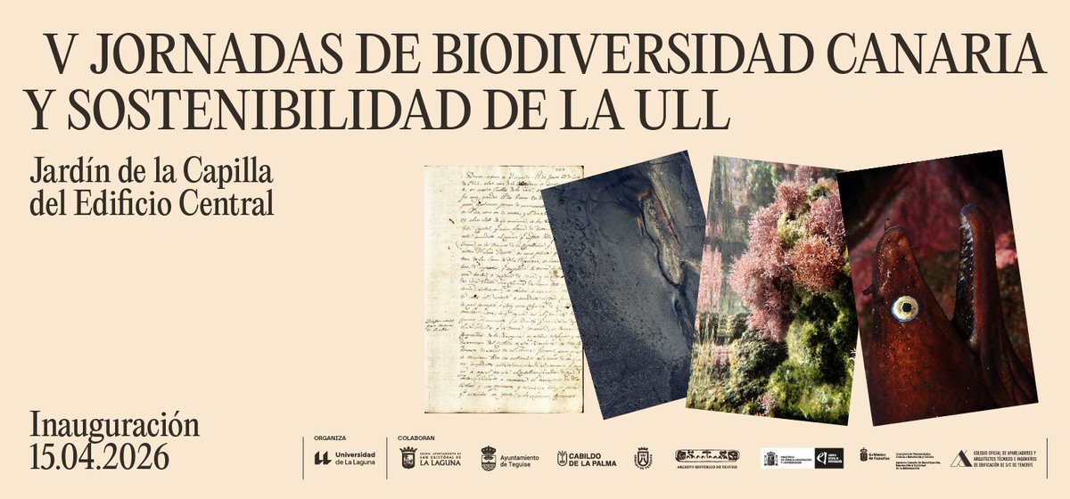 Universidad de La Laguna tweet media