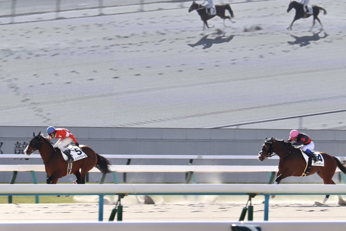 おにぎり tweet media