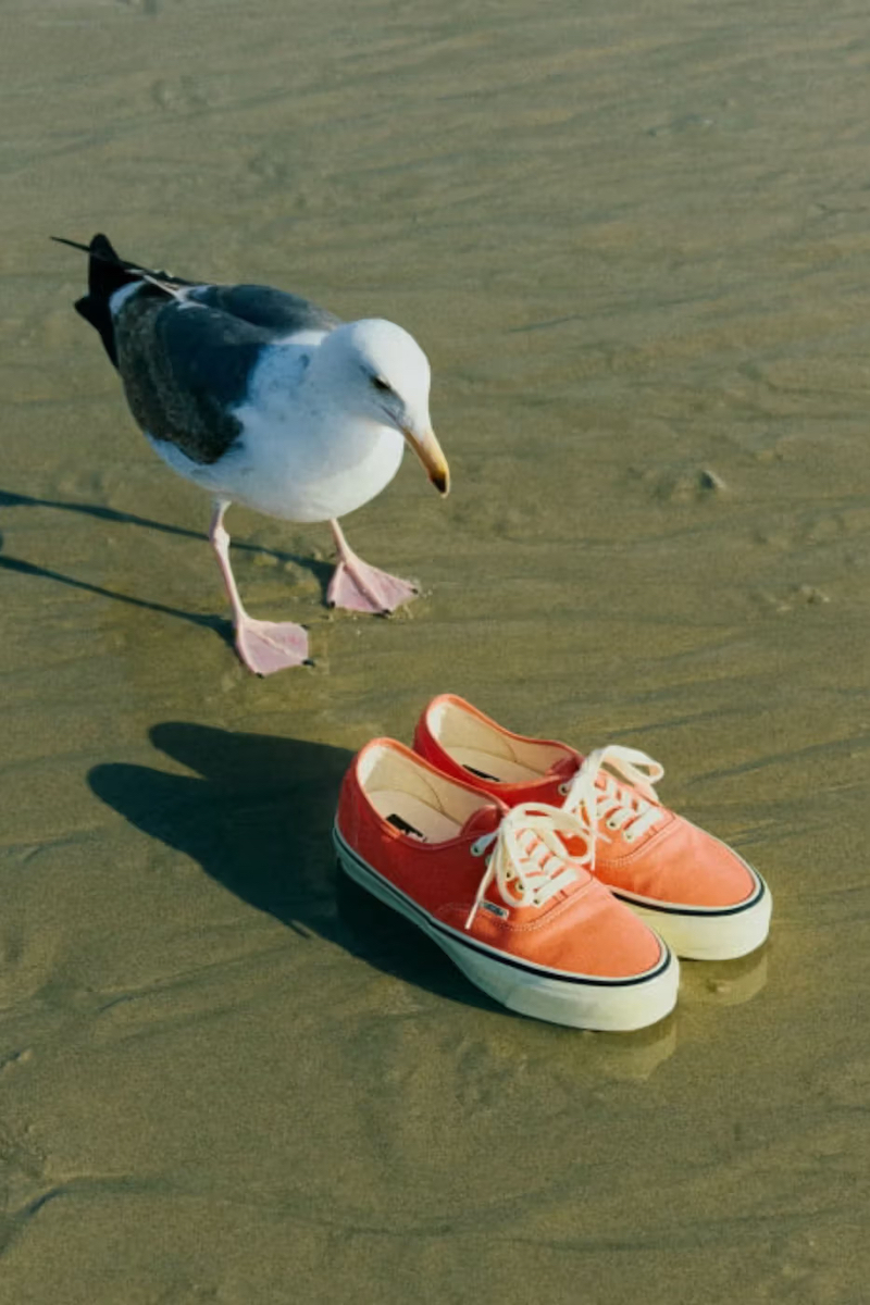 The collaboration between BEAMS BOY and Vans on the Authentic