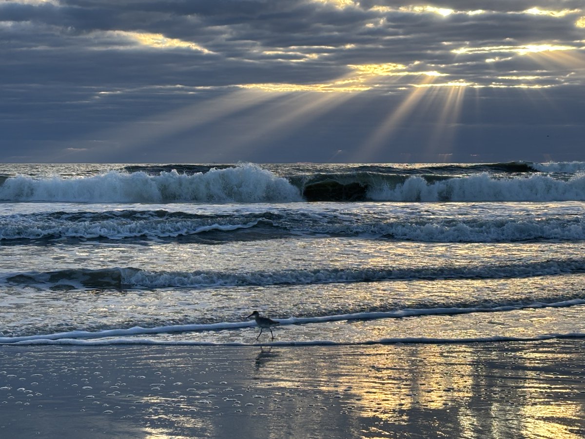 valkerie777's tweet image. Good morning from #Florida #sunrise #beachlife