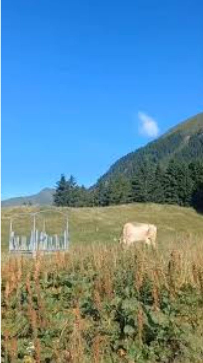 Nunez353451's tweet image. Live di Javier vs Live di Helena rappresentazioni!😅
La quite e la tempesta 
#helevier