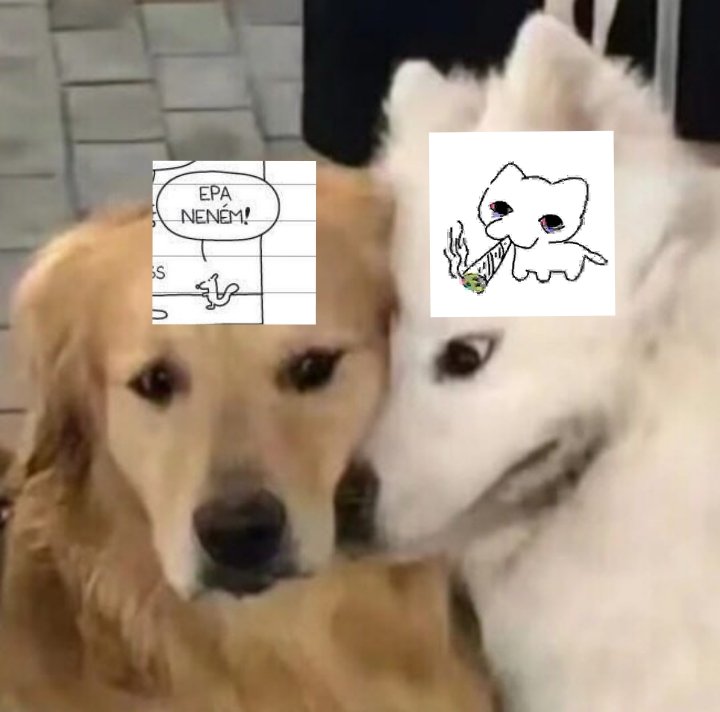 Soldier Boy 🛡 #TK⸙ tweet media