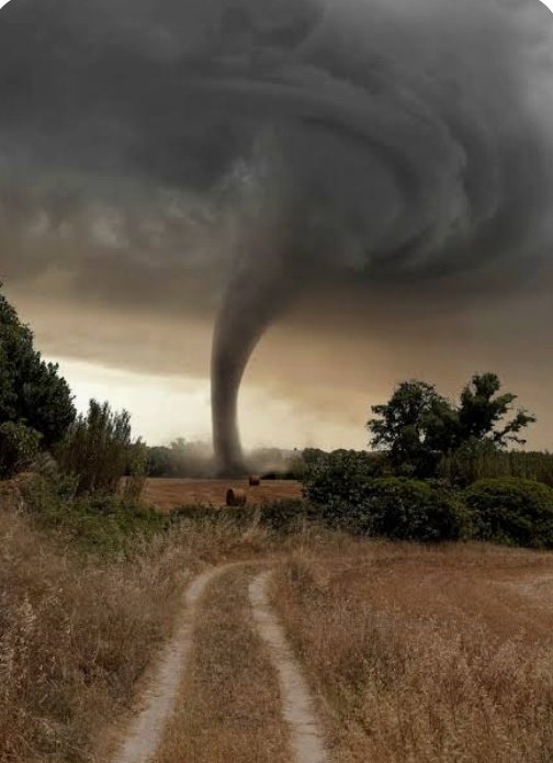 Nunez353451's tweet image. Live di Javier vs Live di Helena rappresentazioni!😅
La quite e la tempesta 
#helevier