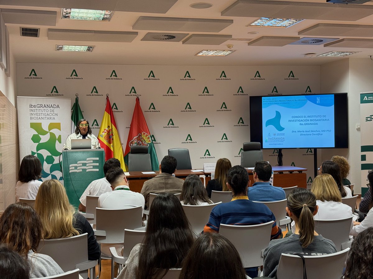 ibs.GRANADA tweet media