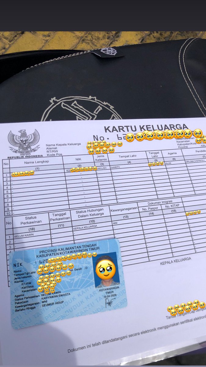 pian tweet media