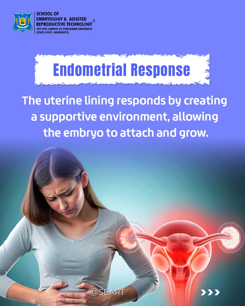 SeartEmbryology's tweet photo. How do embryos communicate with the uterus? It’s a silent but crucial process.

#SEART #SchoolOfEmbryology #EmbryoImplantation #IVFScience #EmbryologyBasics #ClinicalEmbryology #IVFTraining #EmbryologyCareer #FutureEmbryologist #Gurgaon #India https://t.co/fWqjwDtR6W