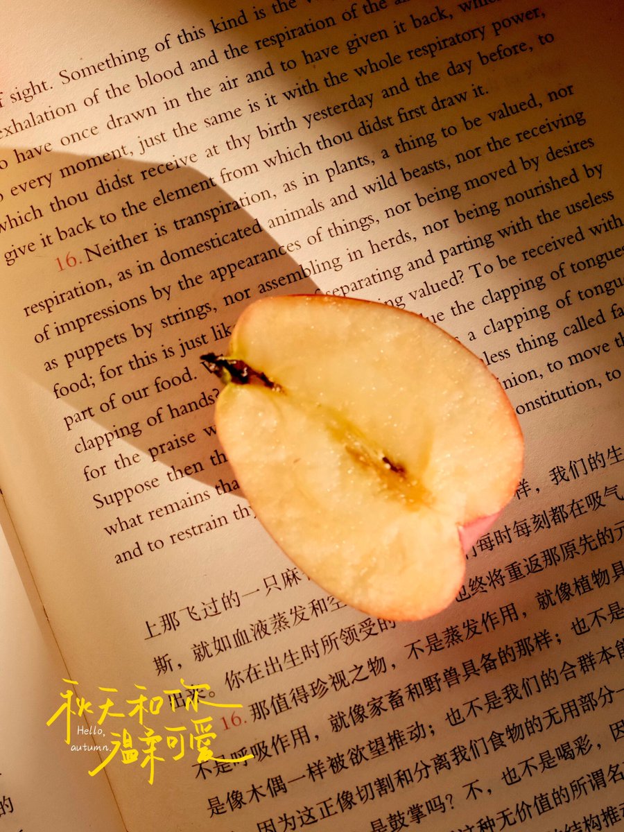 Michael Engell tweet media