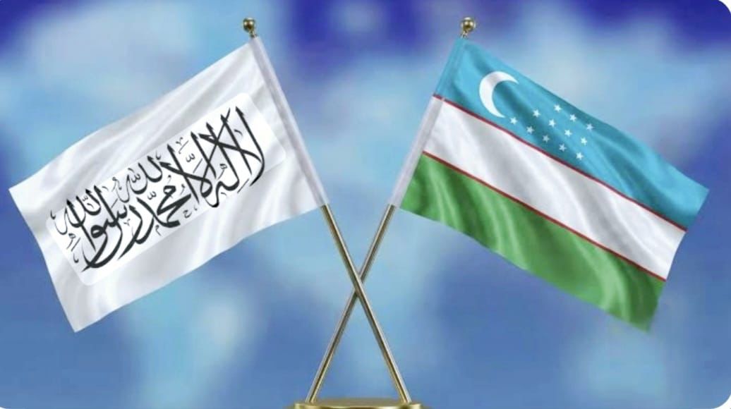 محمد بن قاسم✒ tweet media