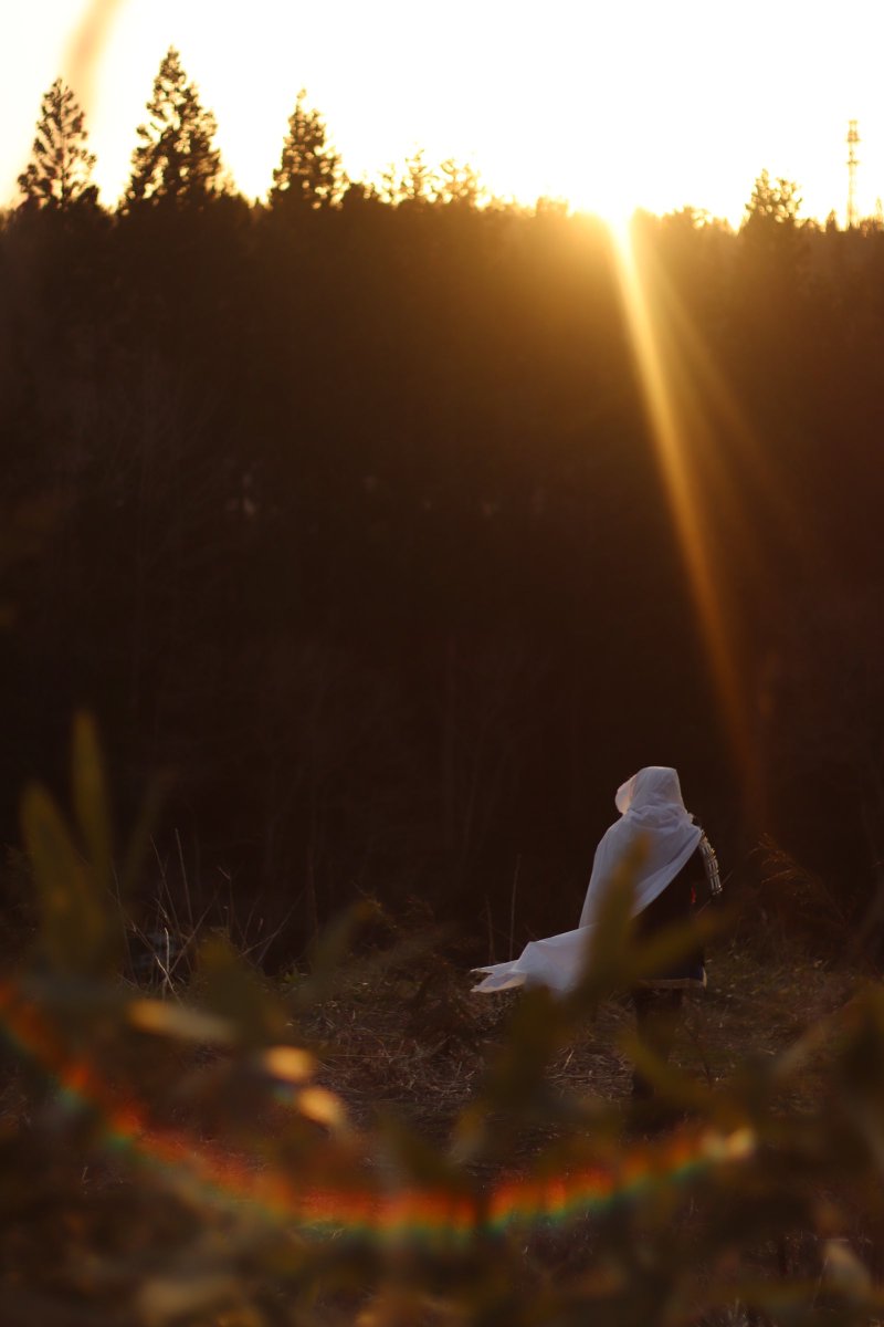 つくだに🐸⚡️(本垢凍結中)@4/26藤原の郷🍵 tweet media