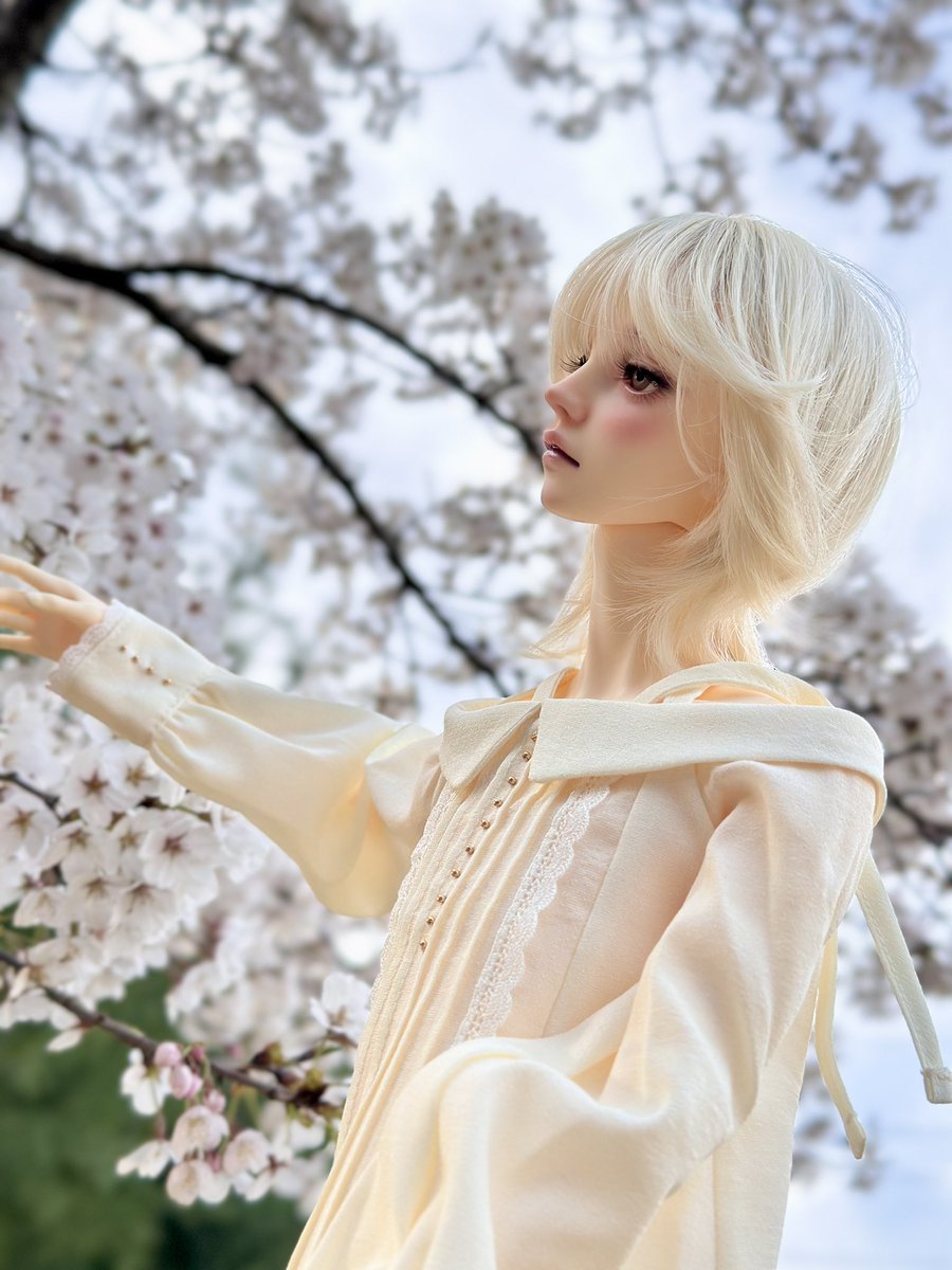 🍤大(길동)魔王👿🍤 tweet media