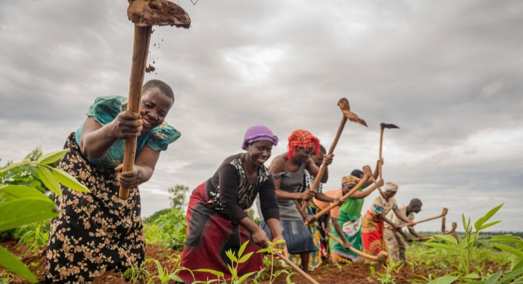 aXiom Zorn tweet media