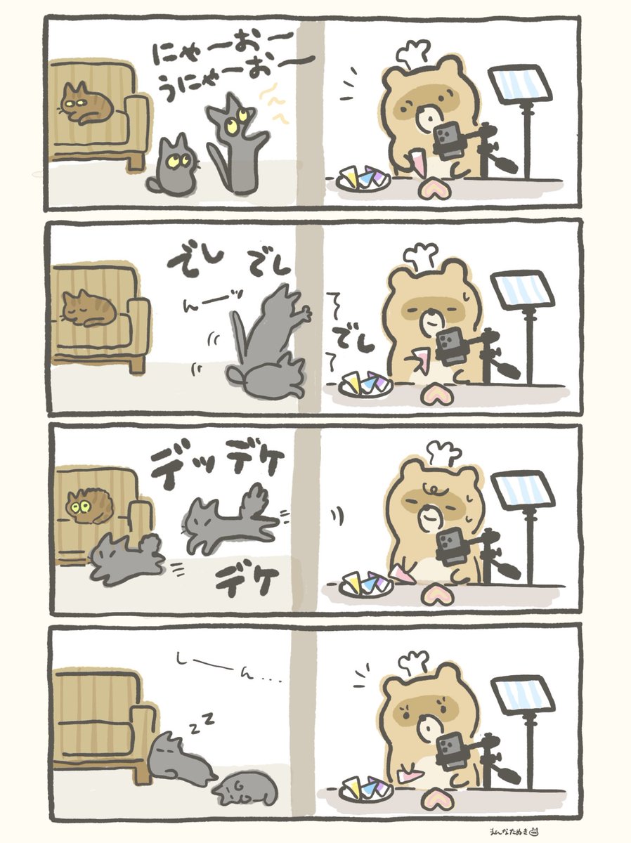 撮影中ねこたちは作業部屋に入れないようドアを閉めているのですが