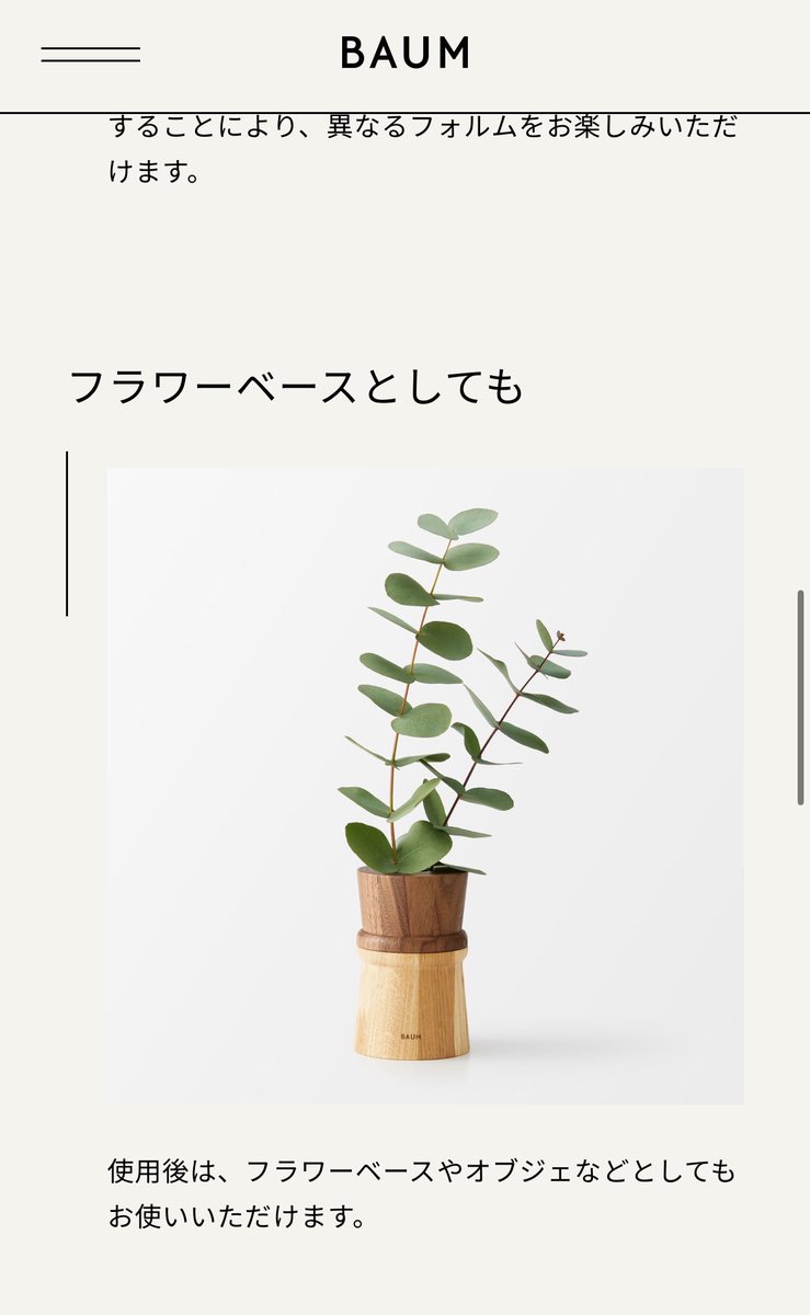 わかめ tweet media