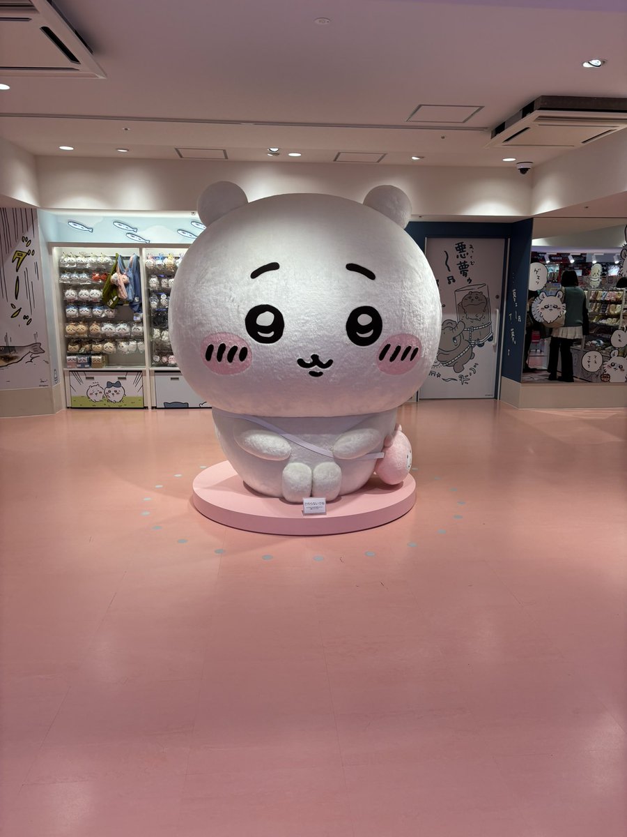 由行藤野@リハと治療中🧵🧶 tweet media