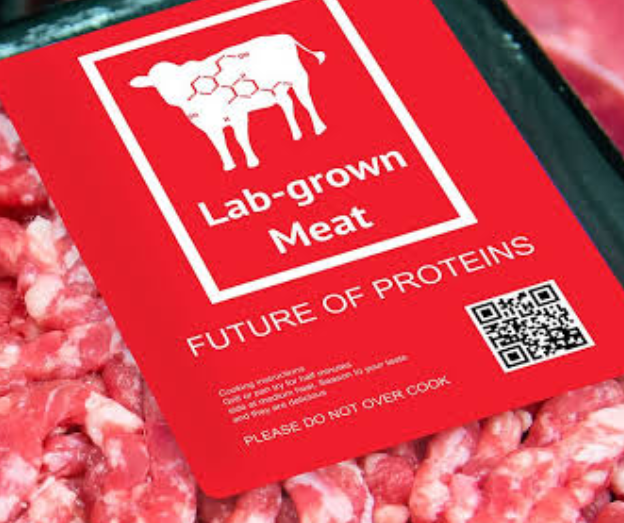 Johann Biermann 🇿🇦 tweet media