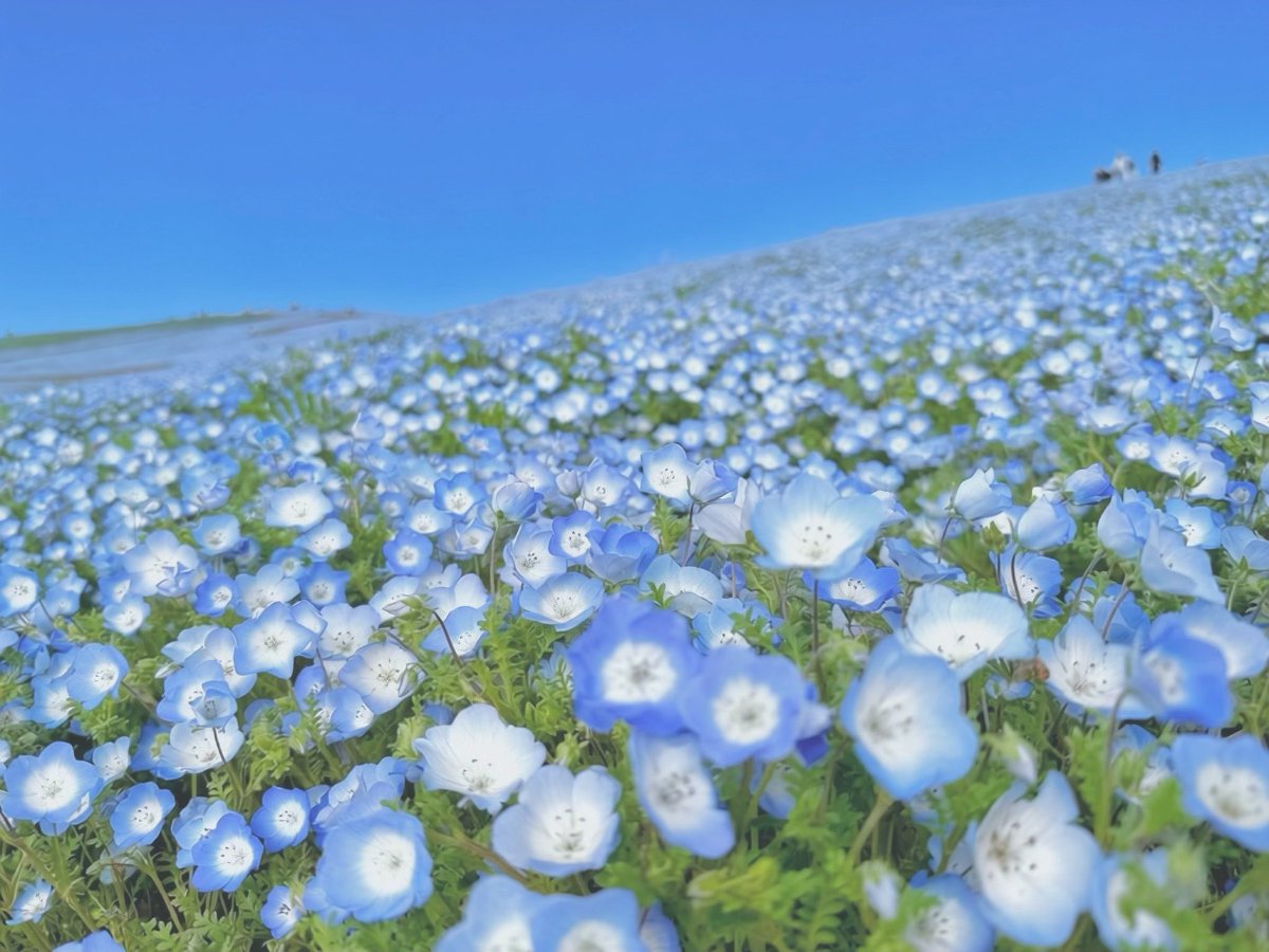 hoshi💫 tweet media