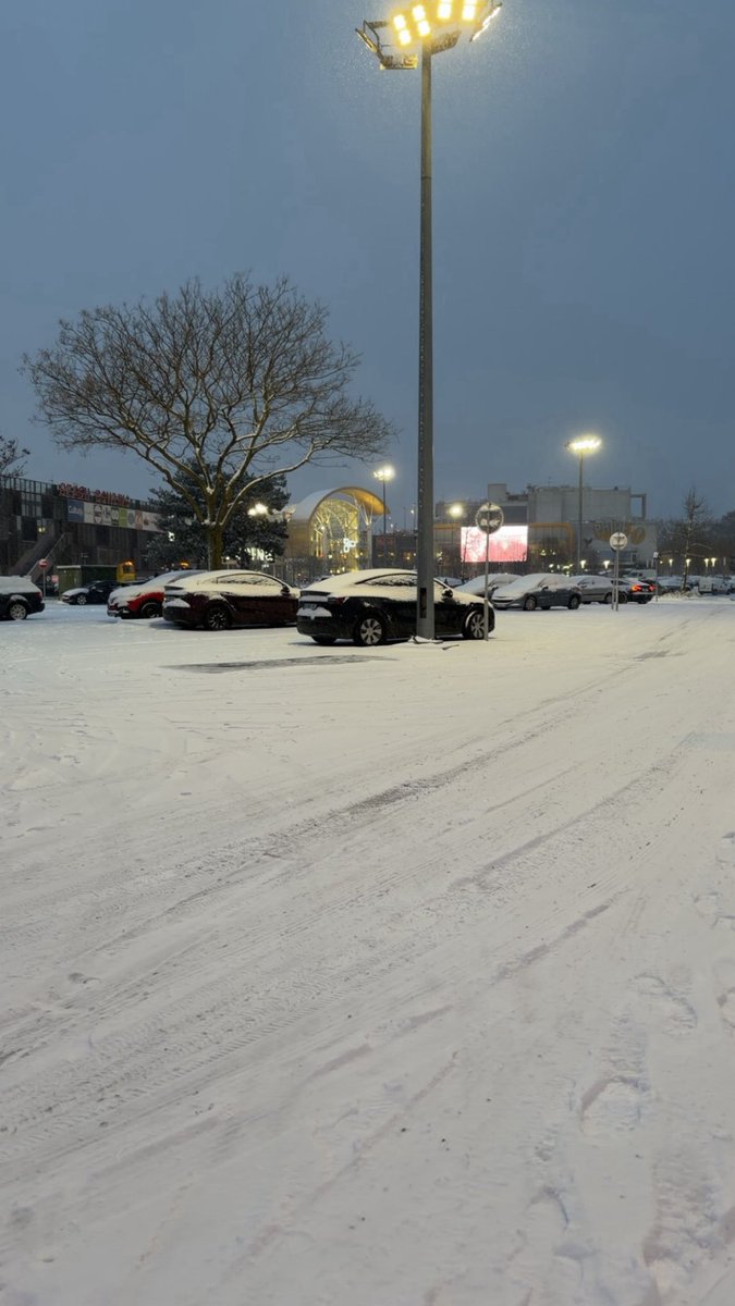 🇩🇿💫 جزائري tweet media