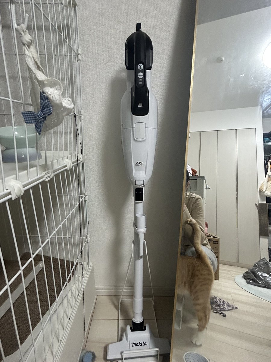 苹果ちゃま tweet media