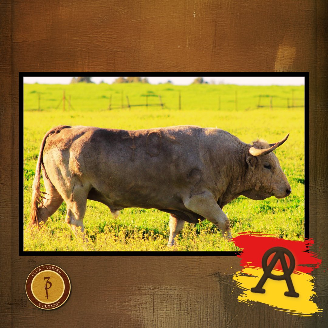 3Puyazos tweet media