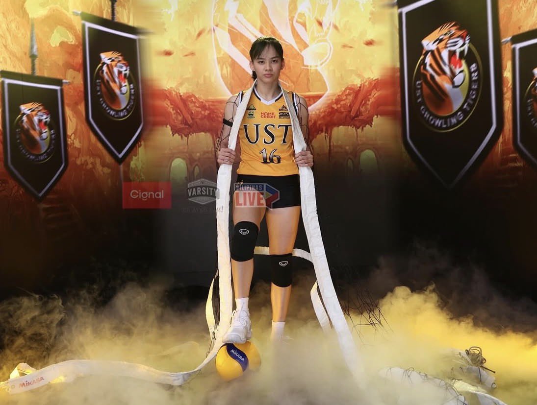 🐯🏹 tweet media