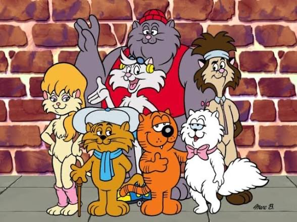 Miles Commodore tweet media