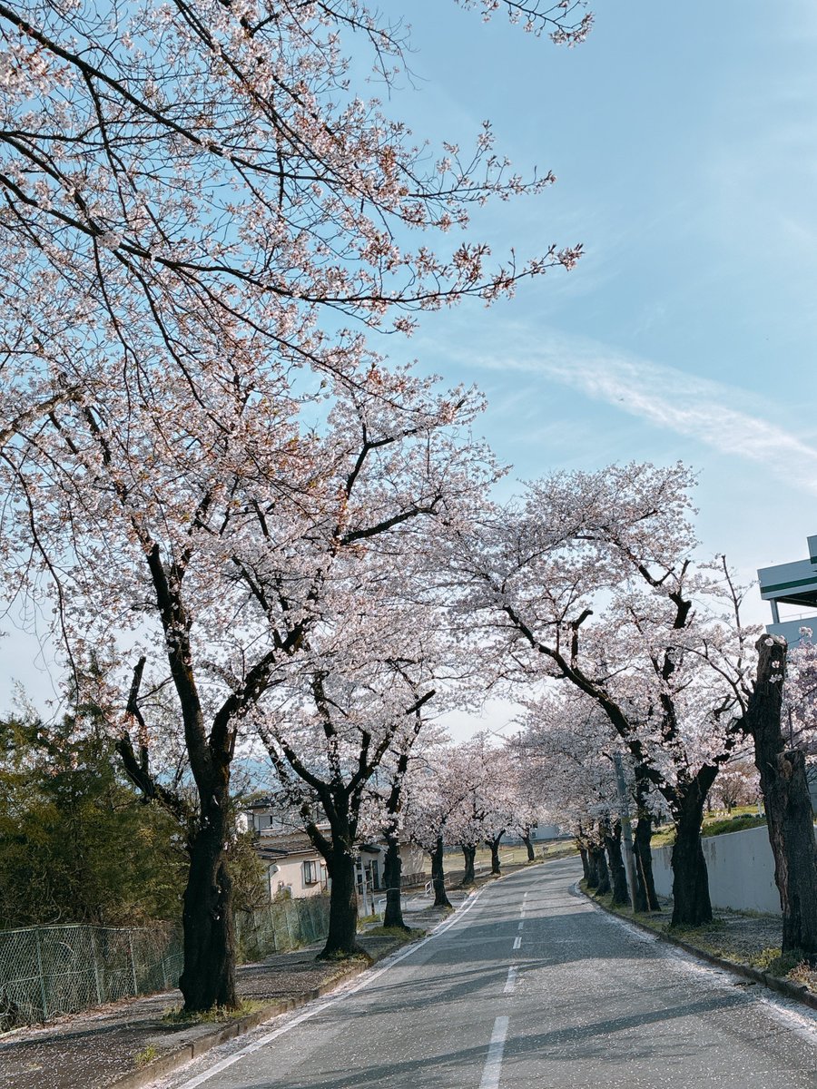 卒塔婆小町(そとばこまち)＠-黒ノ巣会-🦋 tweet media