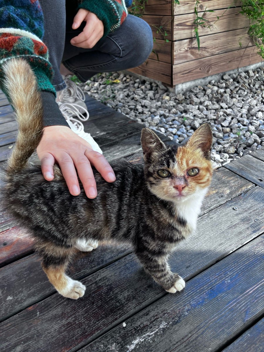 Judas_Thorne's tweet image. "Small daily moves = big health wins! ♀ 10 mins of walking + 1 extra veggie = happier heart, more energy. Start today—your future self thanks you!  #HealthHabits #DailyWellness"