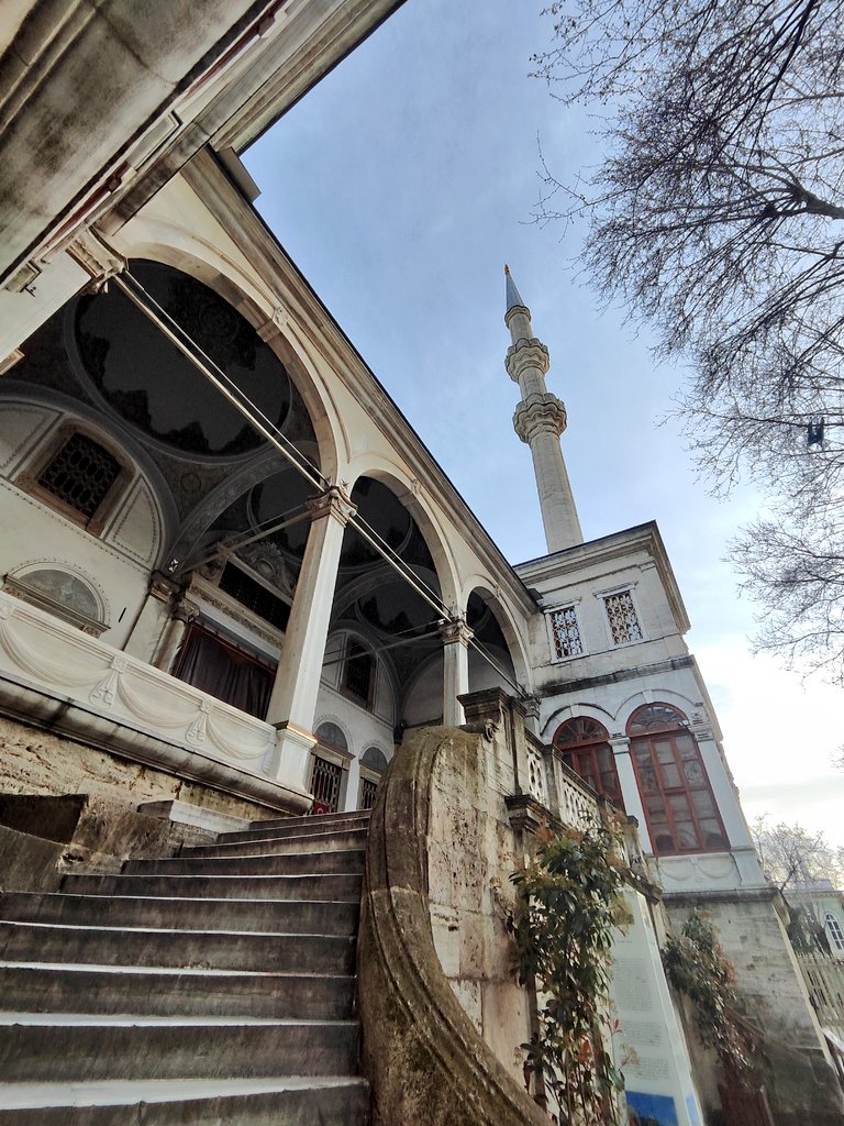 edâ naz 🌿☘️🌿 tweet media