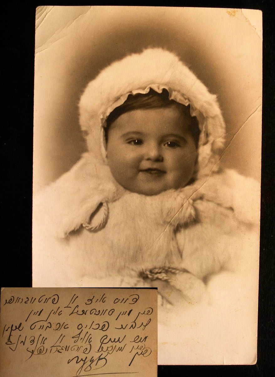 Amb. Yacov Livne 🇮🇱 tweet media