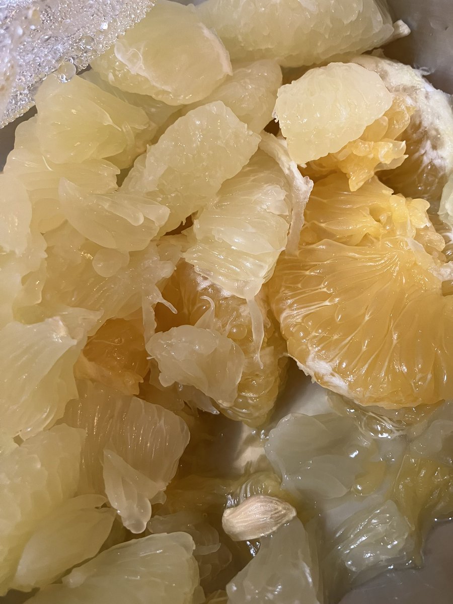 小野まとぺ（志太国観光超³御師） tweet media