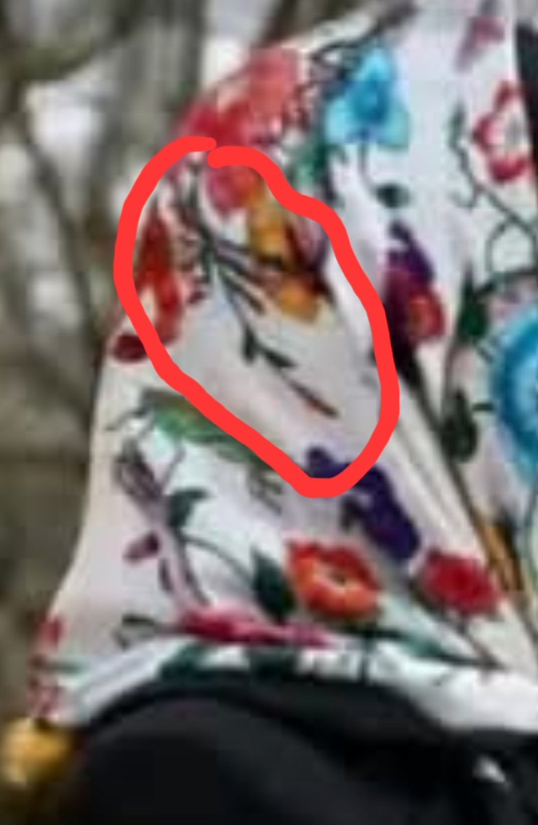 Леся Українка tweet media