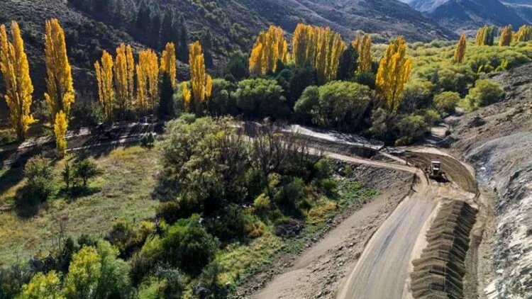 El Constructor tweet media