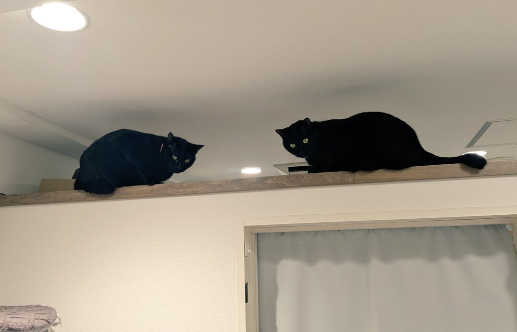 のろ改二 tweet media