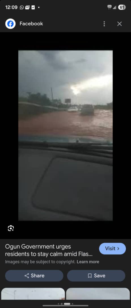 Man of Letters. tweet media