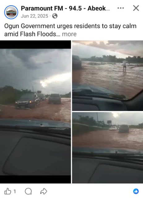 Man of Letters. tweet media