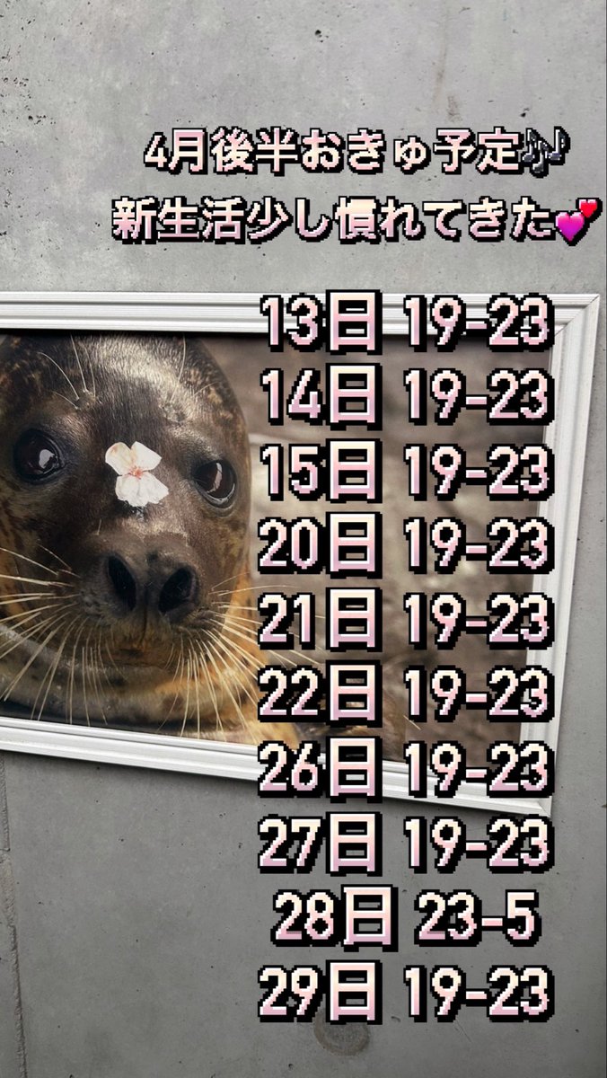 まこ🎀 桃猫堂 仙台国分町 コンカフェ tweet media