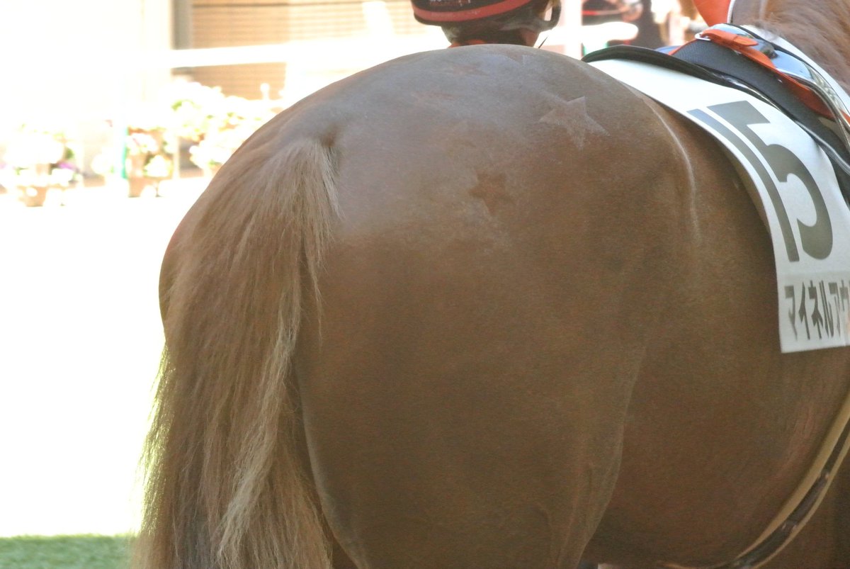 shizuka1026 tweet media