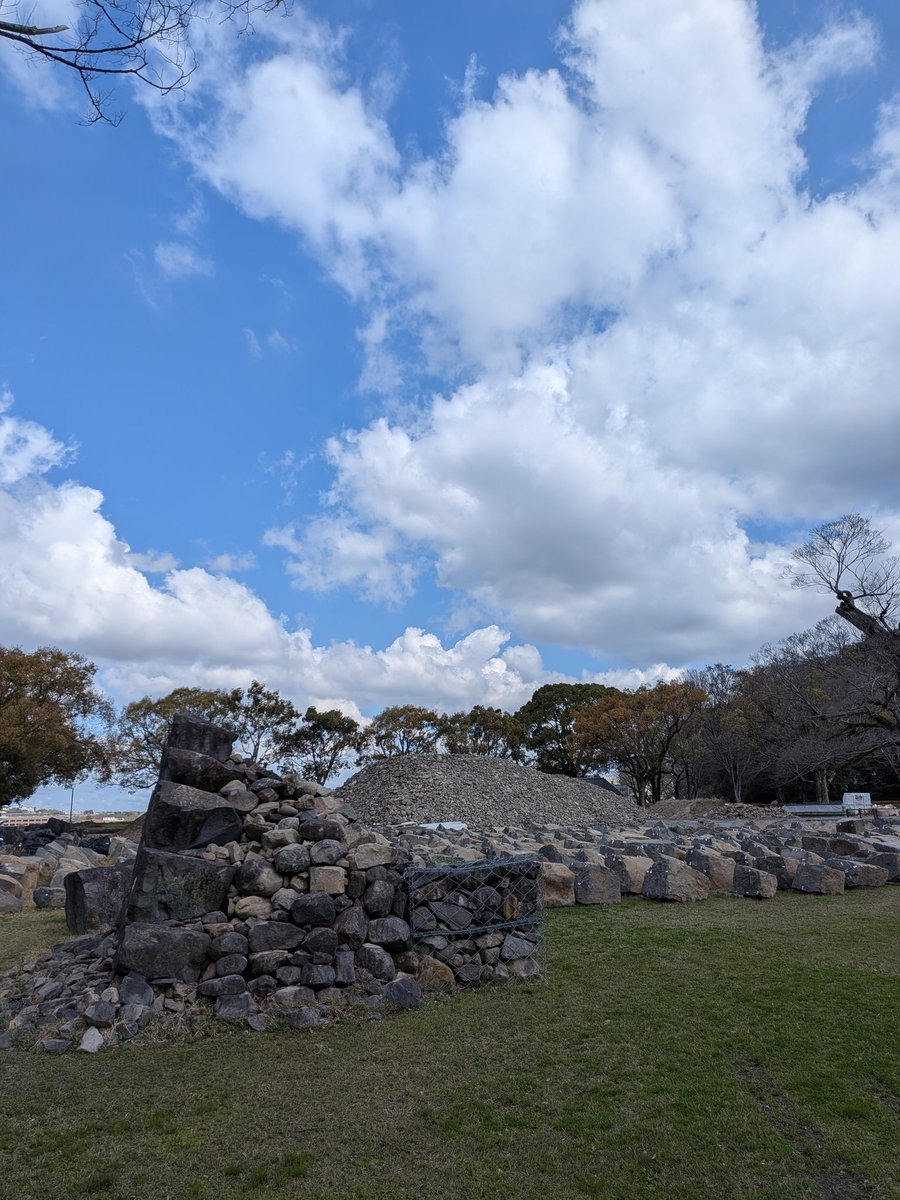 長岡 大雅 tweet media