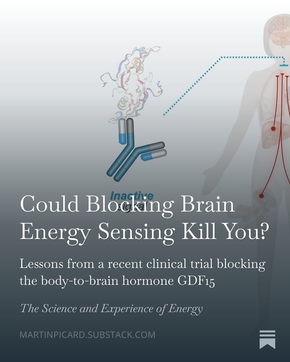 Martin Picard tweet media