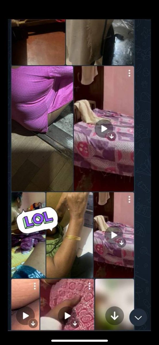 🅰🅼🅼🅰🆈🅸🅺🆄🆃🆃🅰🅽 tweet media