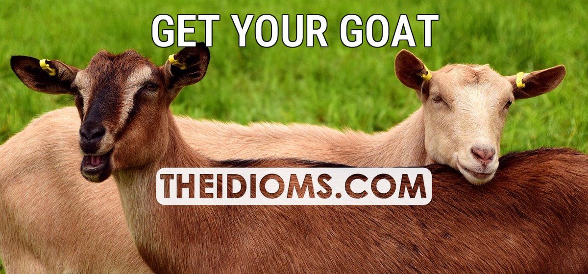 The Idioms tweet media