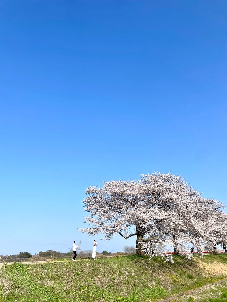 ねっち / OH!MYコンブ.com tweet media