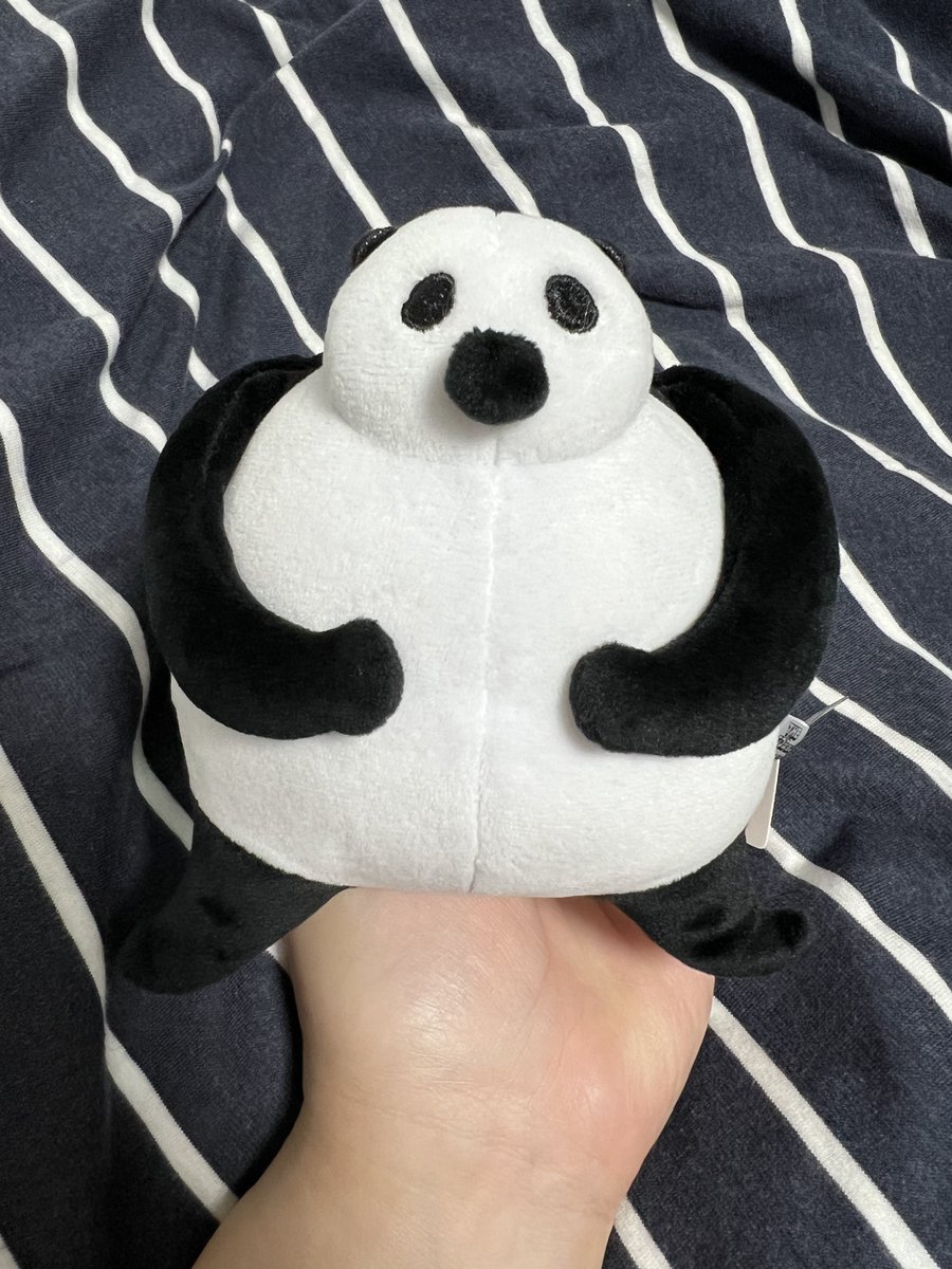 ゾロパン🐼(・_ メ) tweet media