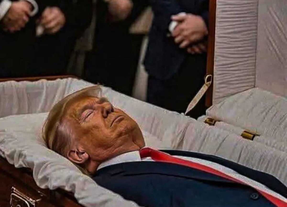 Janis Ian tweet media