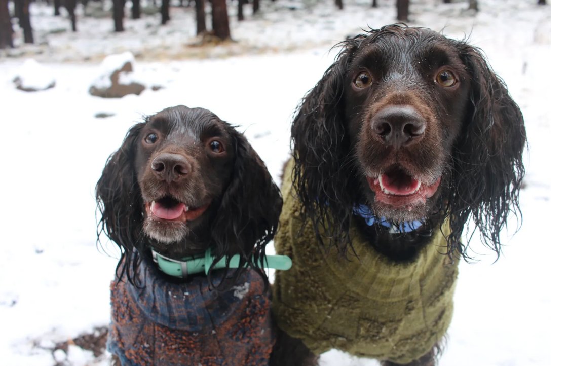 News 8 WROC tweet media