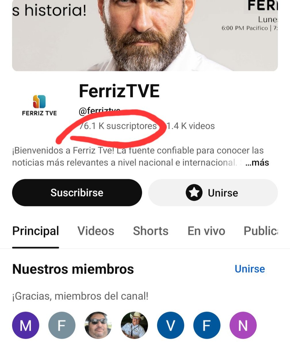 José PP tweet media