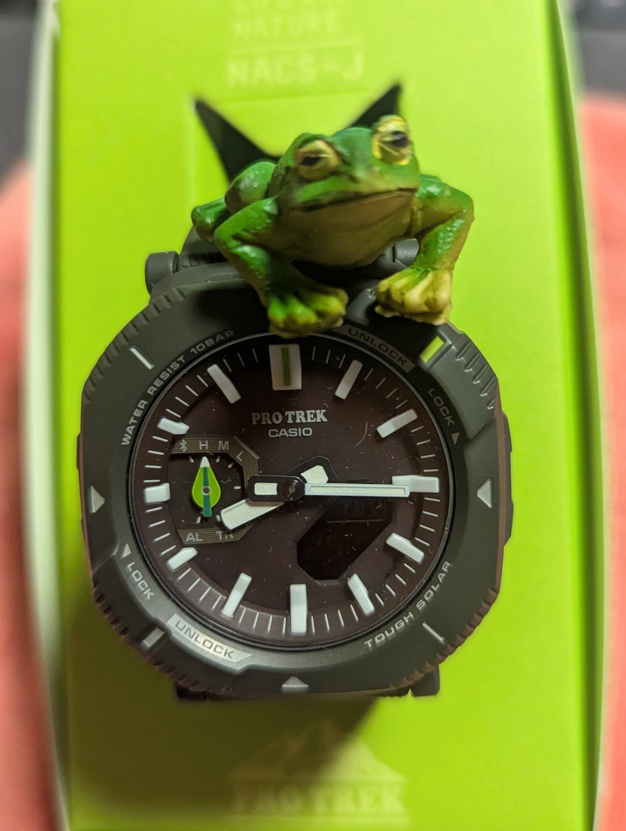 Meyui369's tweet photo. #在宅WATCH
#CASIO
#PROTREK https://t.co/JGAajQgMHK