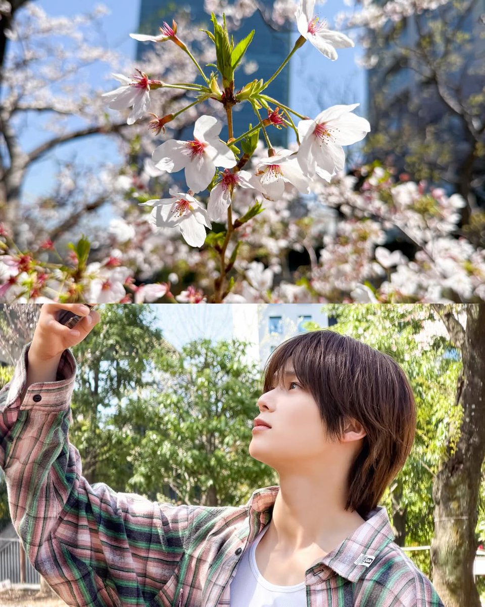 KGlobalOfficial's tweet image. 260414 | INSTAGRAM

@.kkun.and post [1/2] 

💬 Nice to meet you Instagram🌸

#K #andTEAM_K #ケイくん
#케이 @andTEAM_members