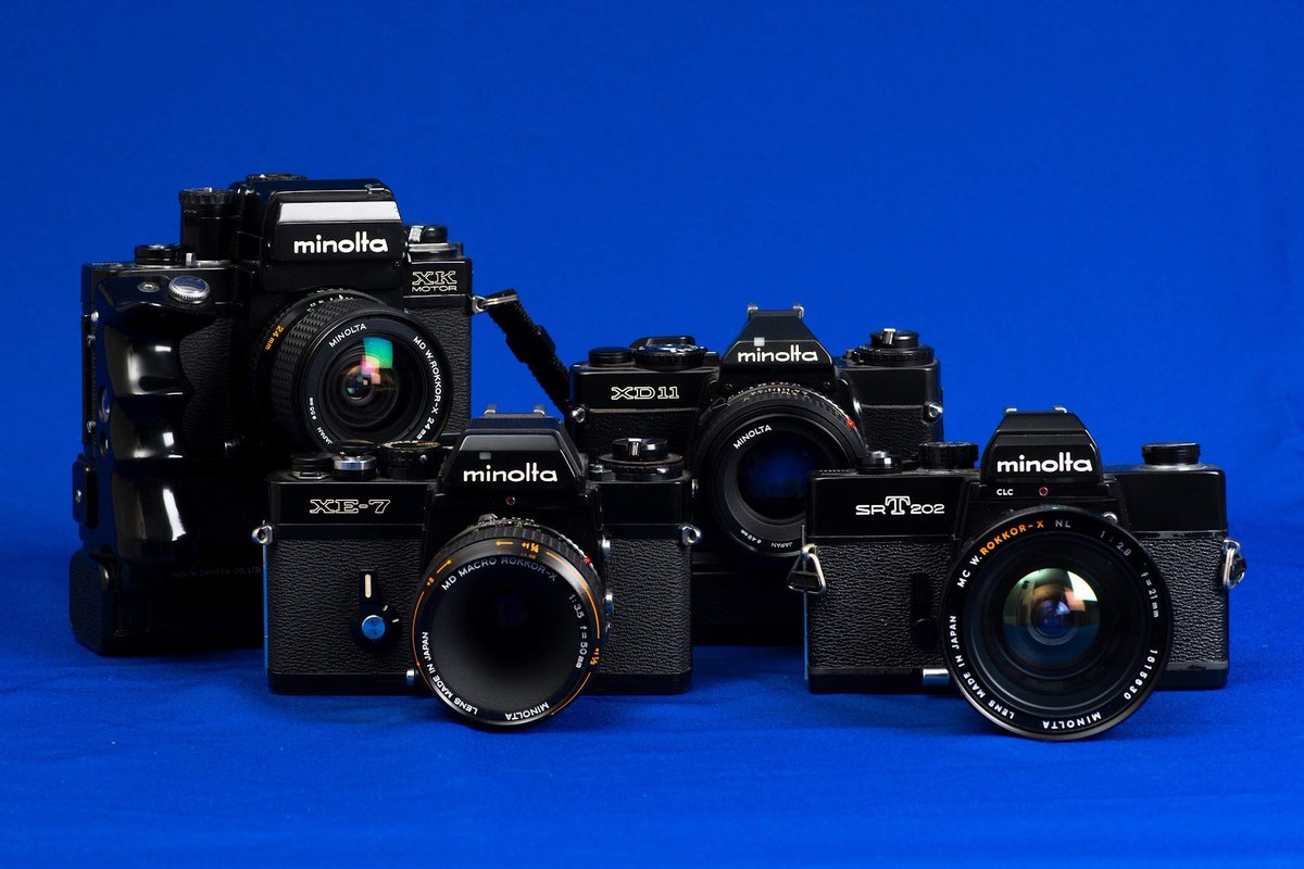 🐝🇬🇷 tweet media