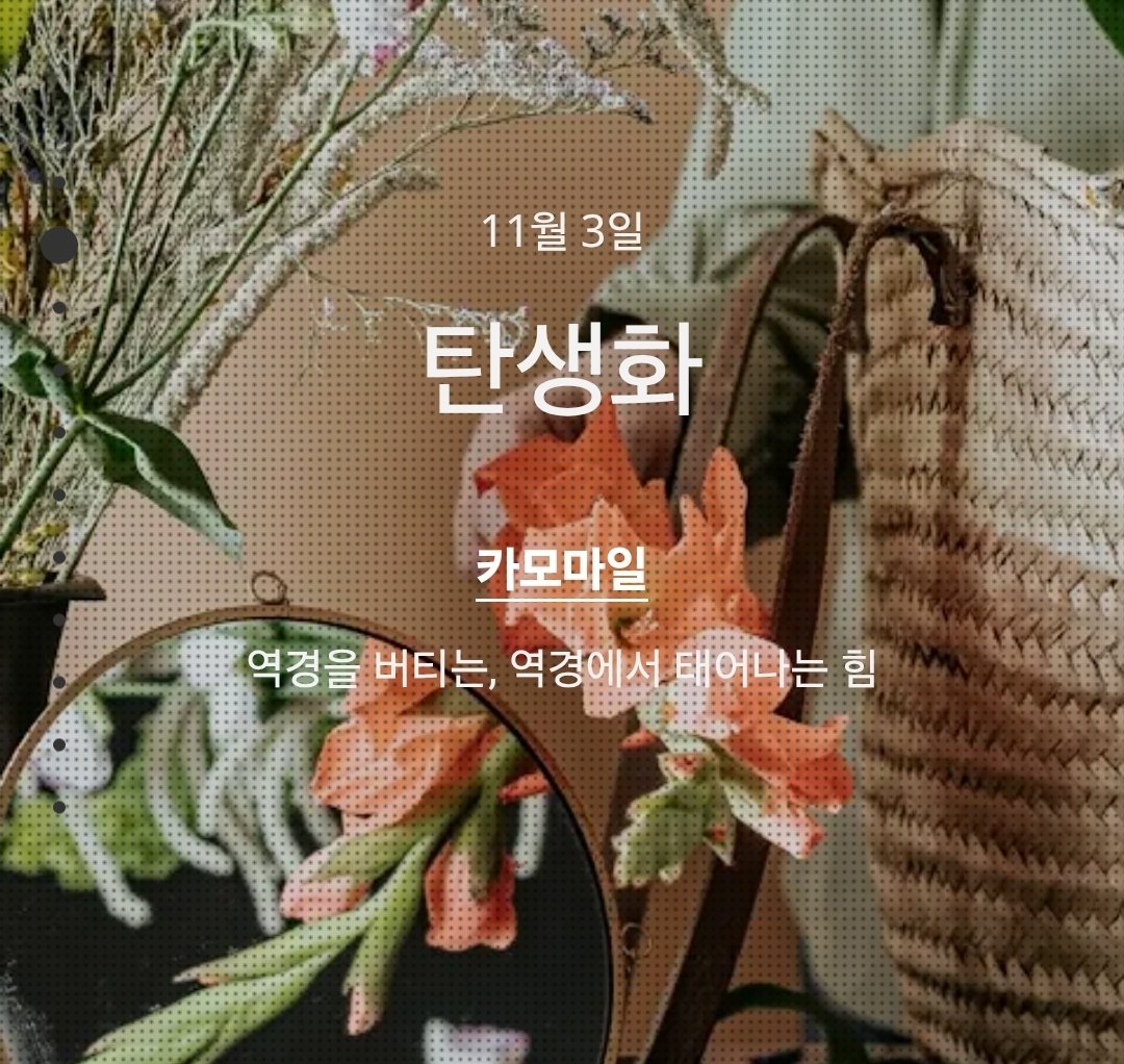 네온페 tweet media